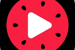 西瓜视频西瓜视频,探索短视频新潮流，畅享精彩内容盛宴